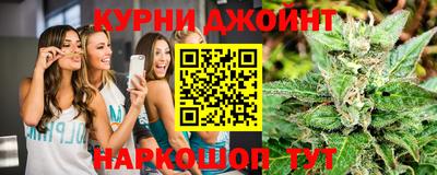 крисы Будённовск