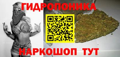 крисы Будённовск