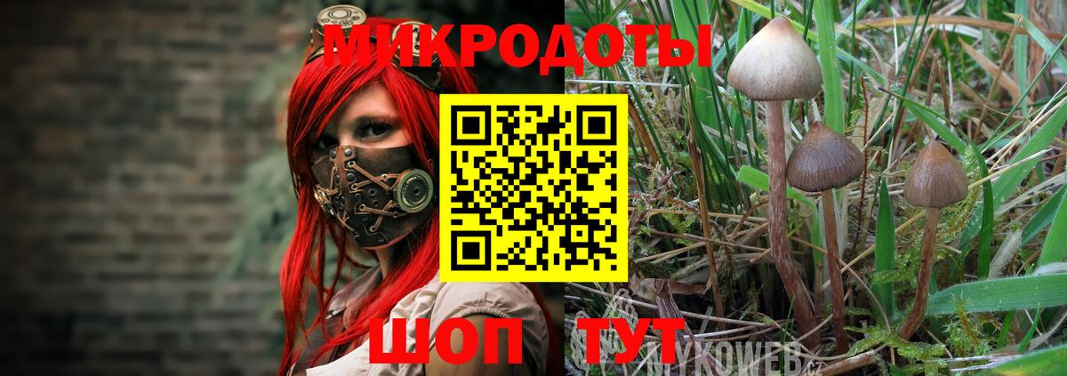 Сертолово  Галлюциногенные грибы ЛСД  Галлюциногенные грибы ЛСД  Вход с VPN 