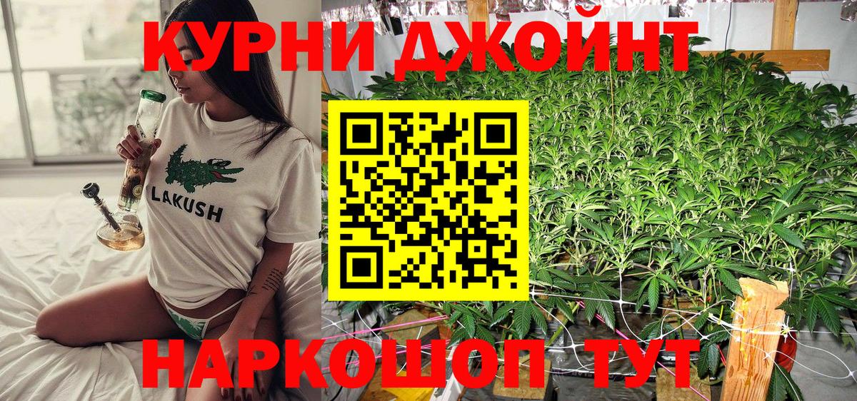 Марихуана ГИДРОПОН  Вход с VPN  Сертолово  Шишки марихуана планчик  Конопля Amnesia  Канабис индика 